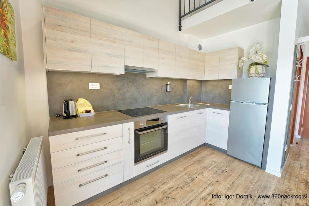 Apartment Terme Olimia - 407 Podčetrtek